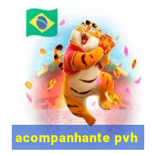 acompanhante pvh